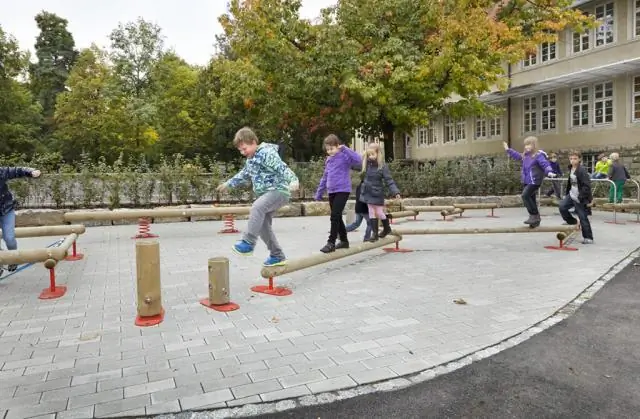 Is een voorbeeld van een fijne motoriek een voorbeeld van een grove motoriek?