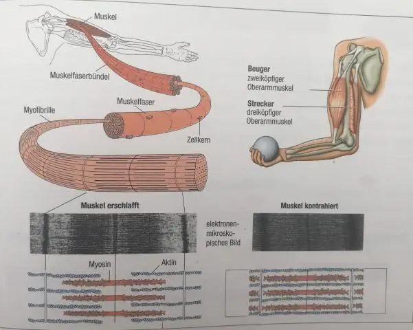 Je test z občianskej náuky GED s výberom viacerých možností?