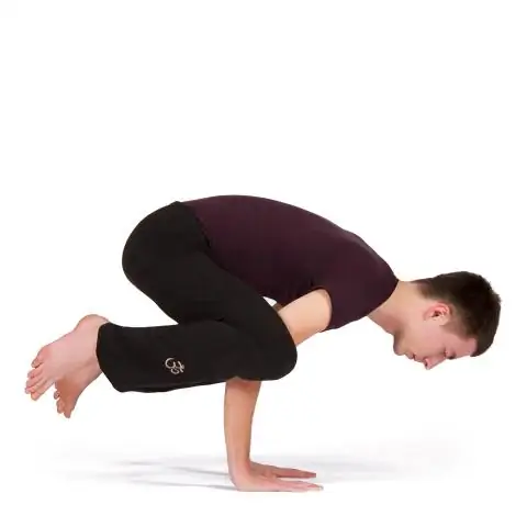 Puas yog Asana lub tuam txhab SaaS?